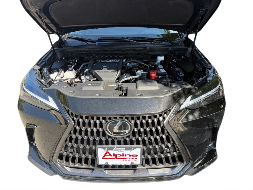 2024 Lexus NX 350 Premium